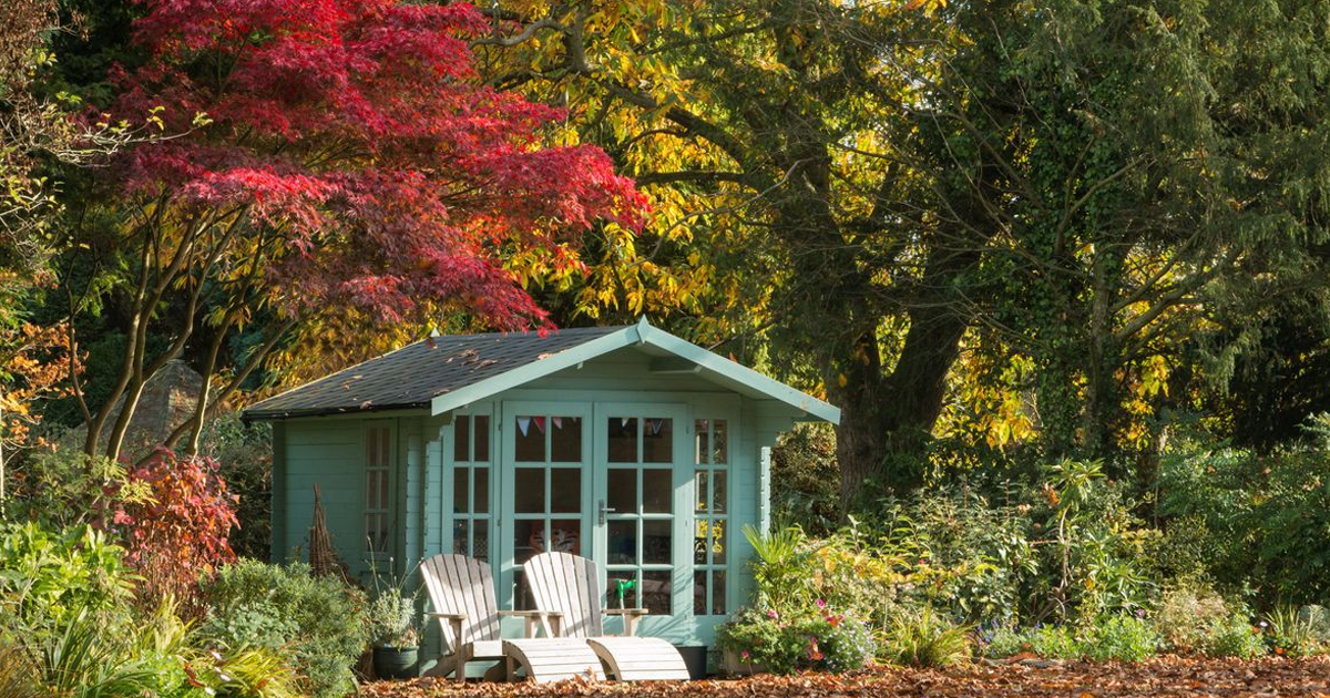 10 Trees That Will Add Value To Your Home