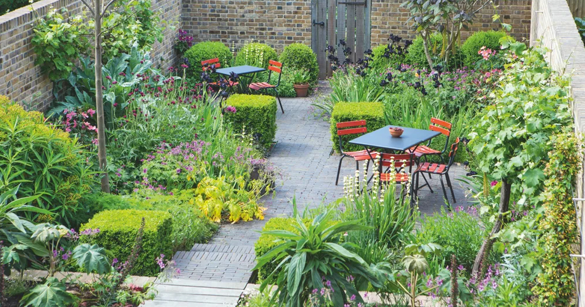 7 Best Fruit Trees For Front Yards