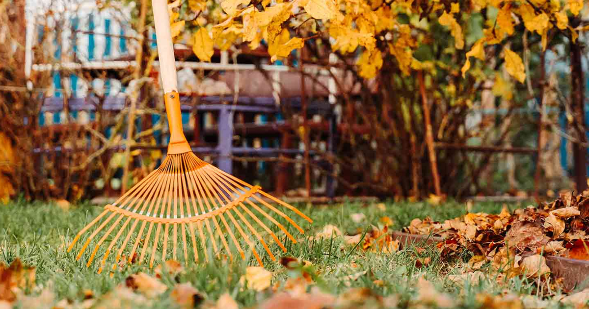 Cleaning The Garden In Autumn – Getting Your Garden Ready For Winter