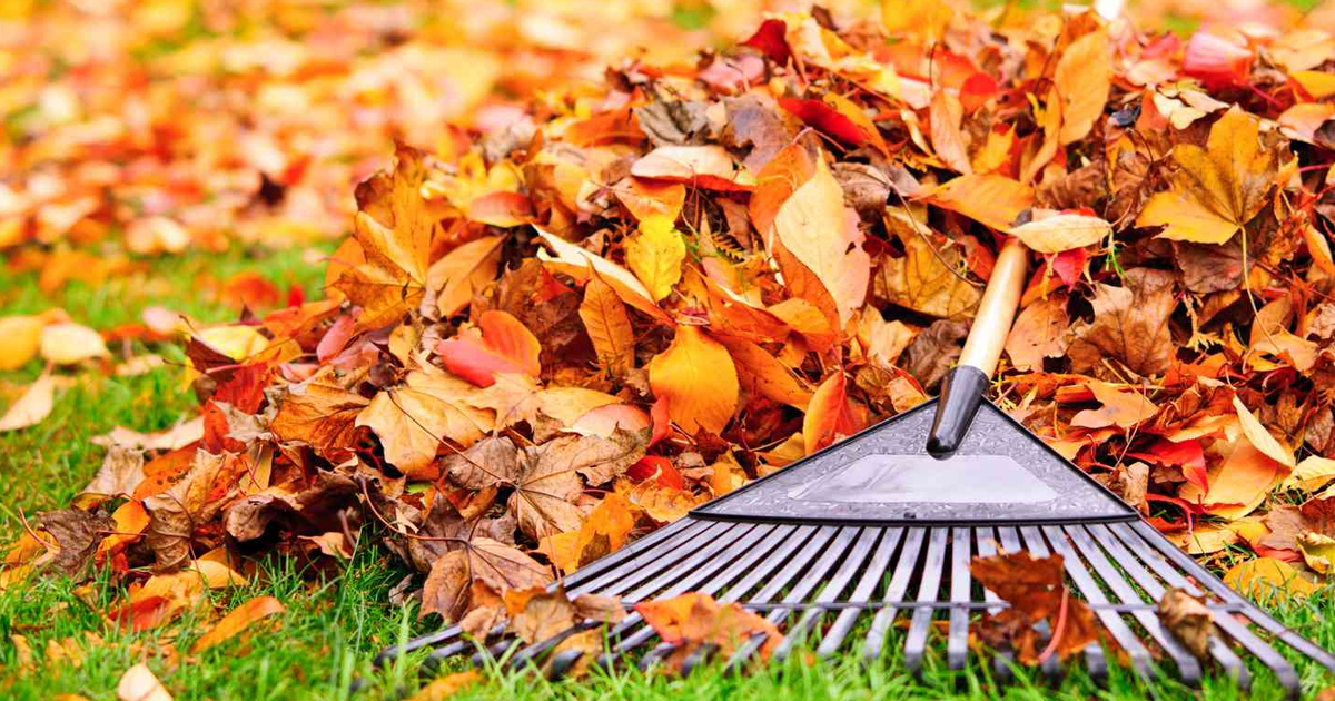 Cleaning Up The Garden: How To Prepare Your Garden For Winter