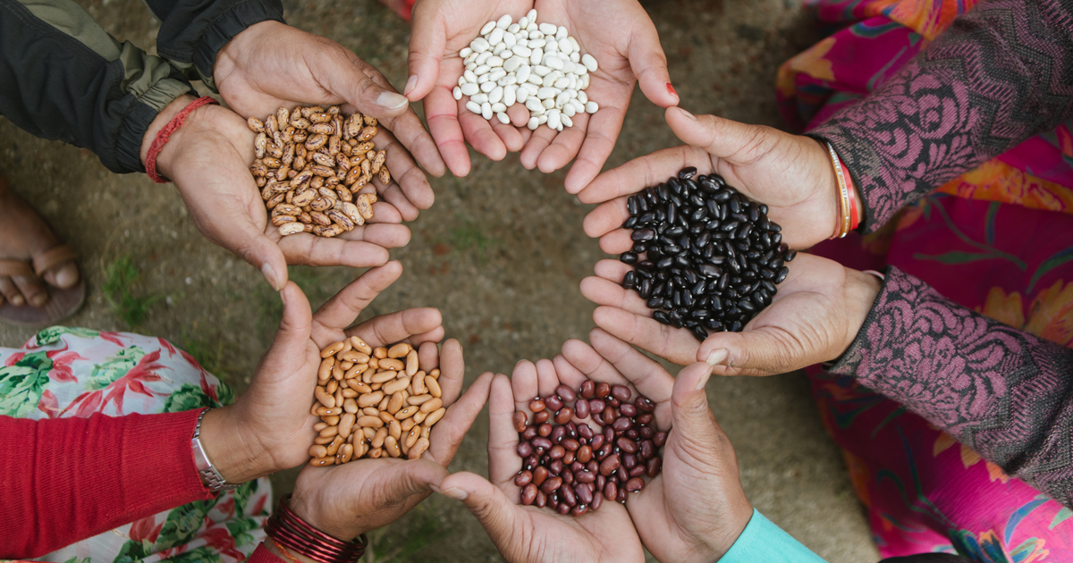 Community Seed Banks: How To Start A Seed Bank