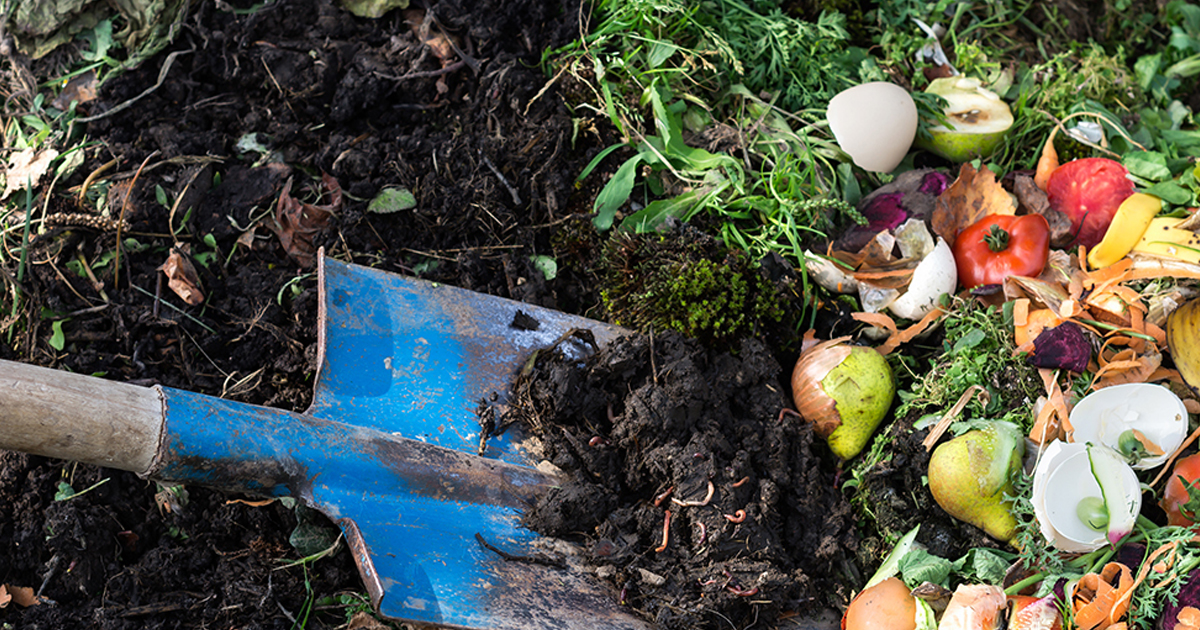 Composting Basics: How Does Composting Work