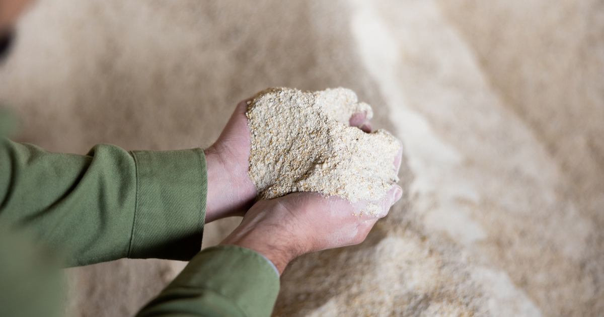 Cornmeal As Weed Killer And Pest Control: How To Use Cornmeal Gluten In The Garden