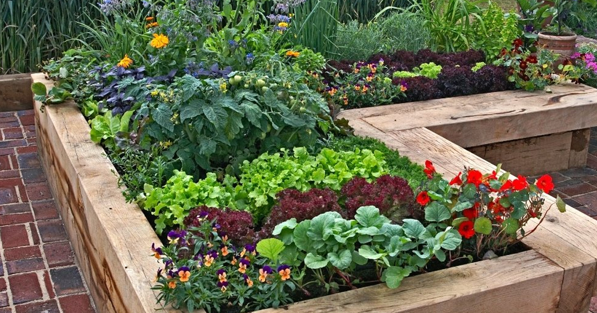 Do Raised Garden Beds Need Drainage?