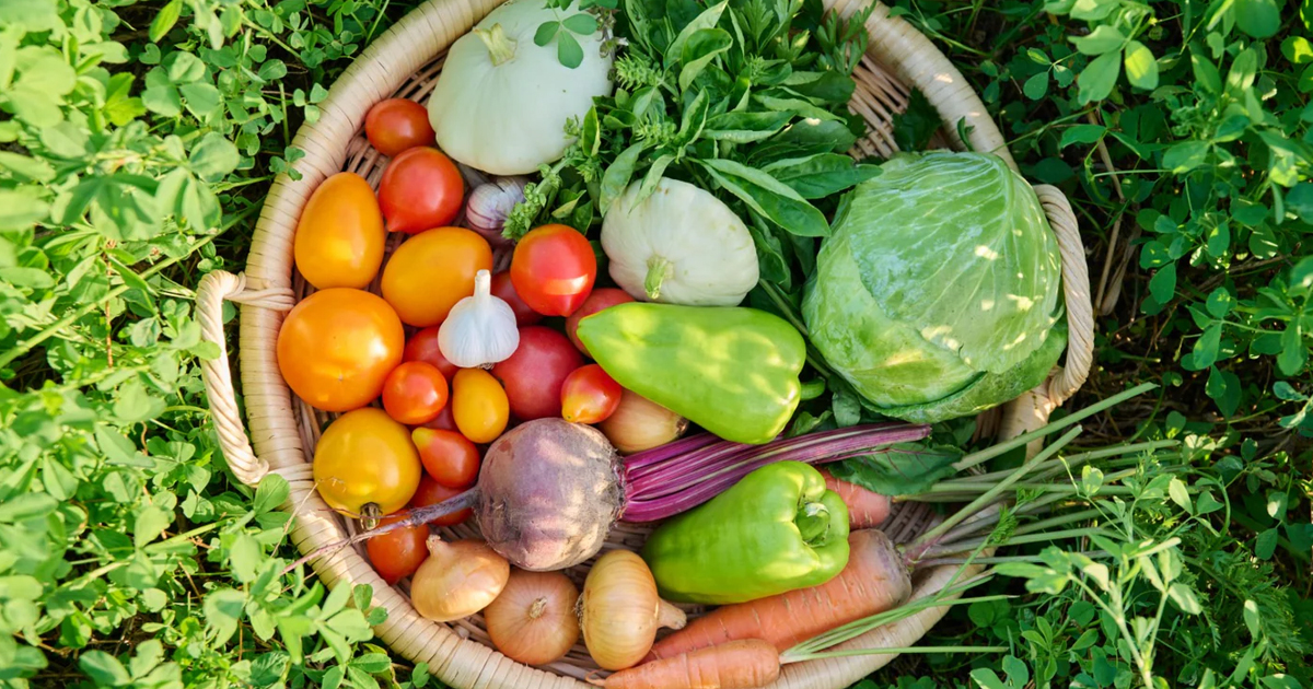 Explore Our Complete Guide To Growing Vegetables