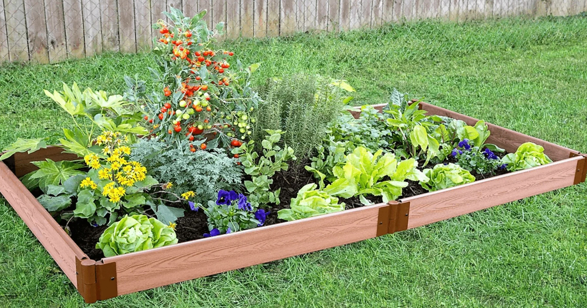 How To Build A Raised Garden Bed For Cheap