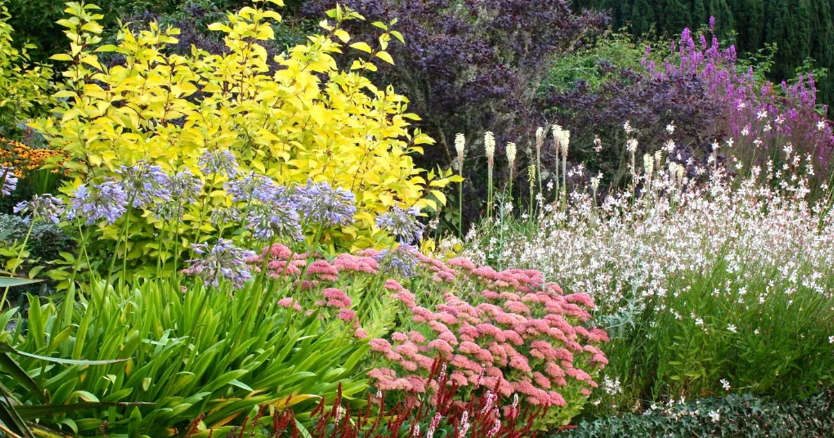 How To Grow A Water-Wise Garden That Still Looks Lush
