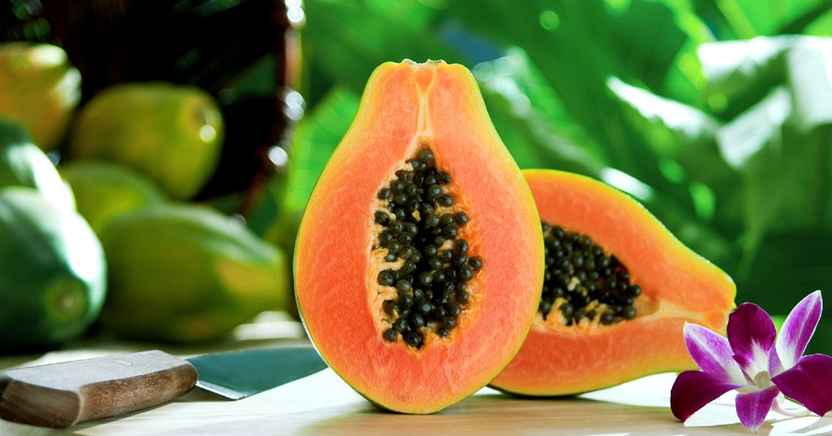 How To Grow Papaya In Pots: Indoor Growing Guide