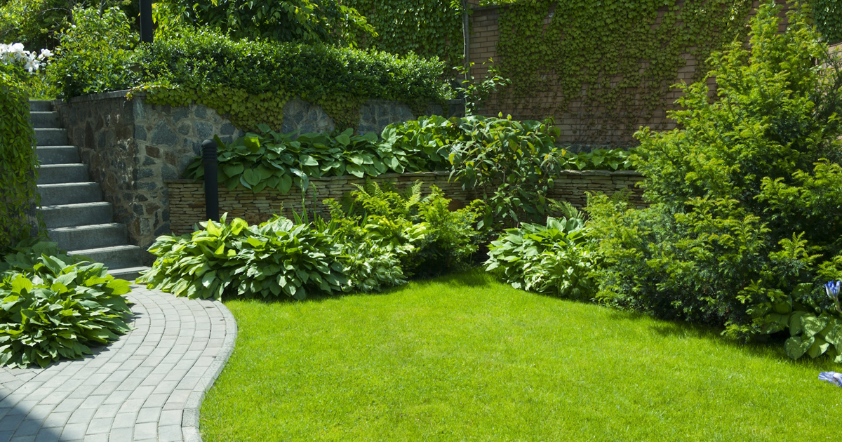 How To Kill Weeds Not Moss – Removing Weeds From Moss Gardens