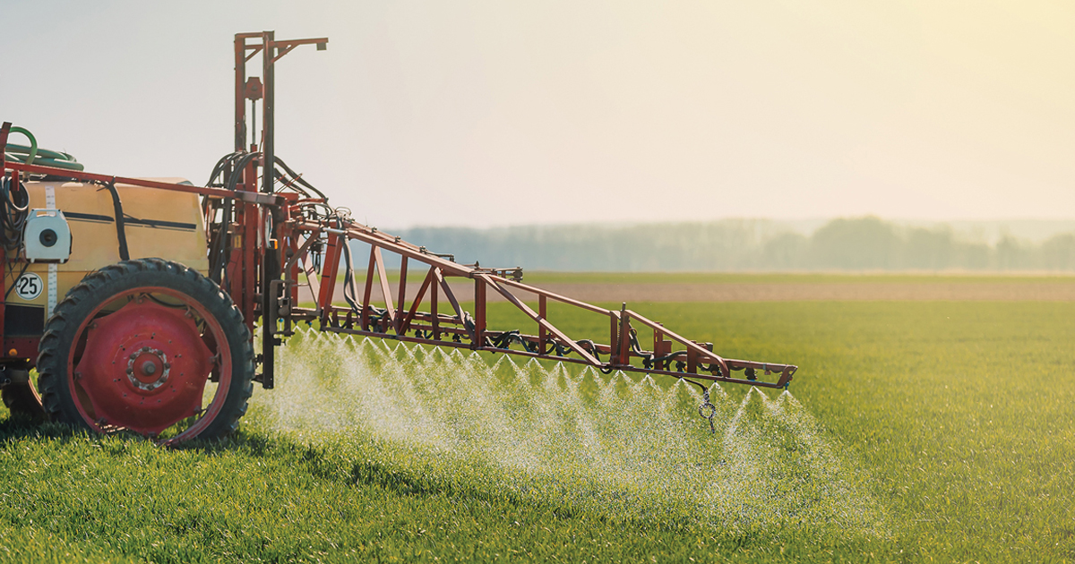 Is Glyphosate Dangerous? Information On Glyphosate Use