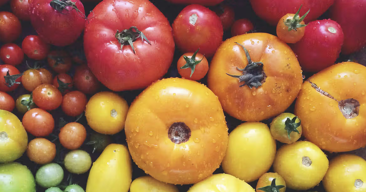 Learn More About Vegetables In The Nightshade Family