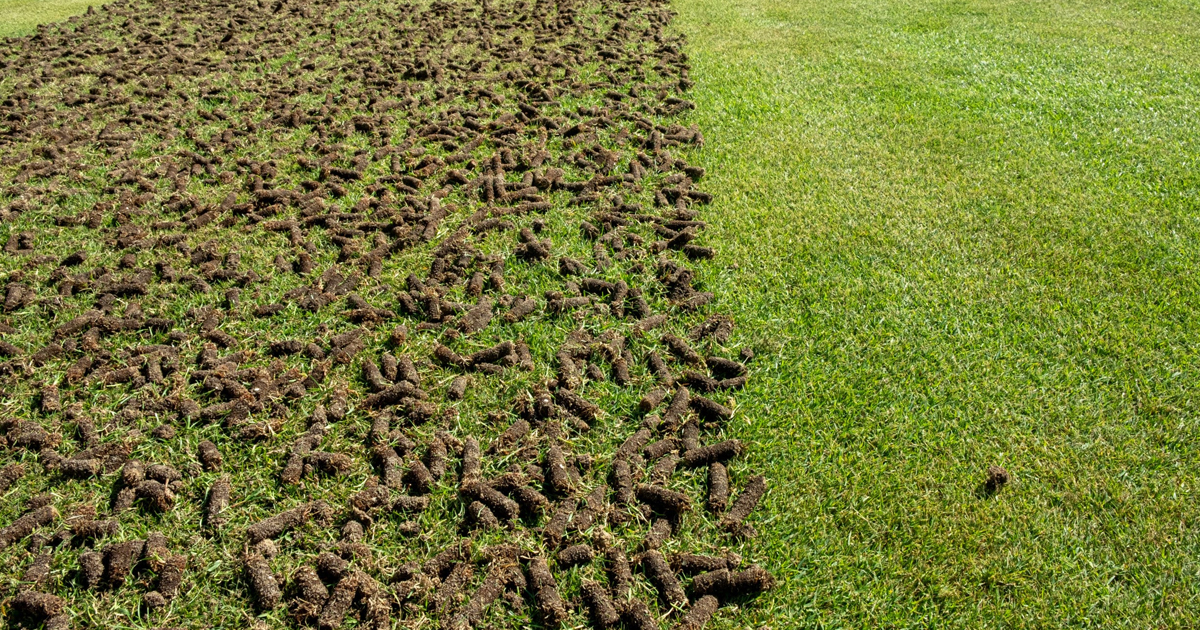Soil Aeration Info – Why Does Soil Need To Be Aerated