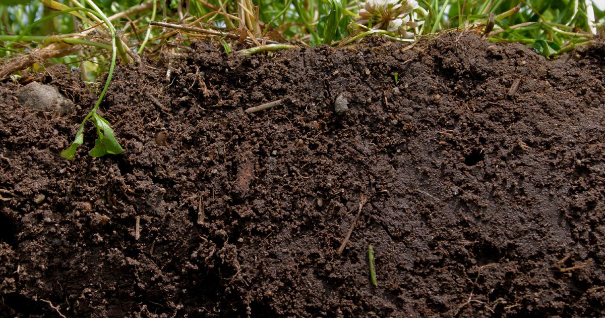 Soil Porosity Information – Learn What Makes Soil Porous