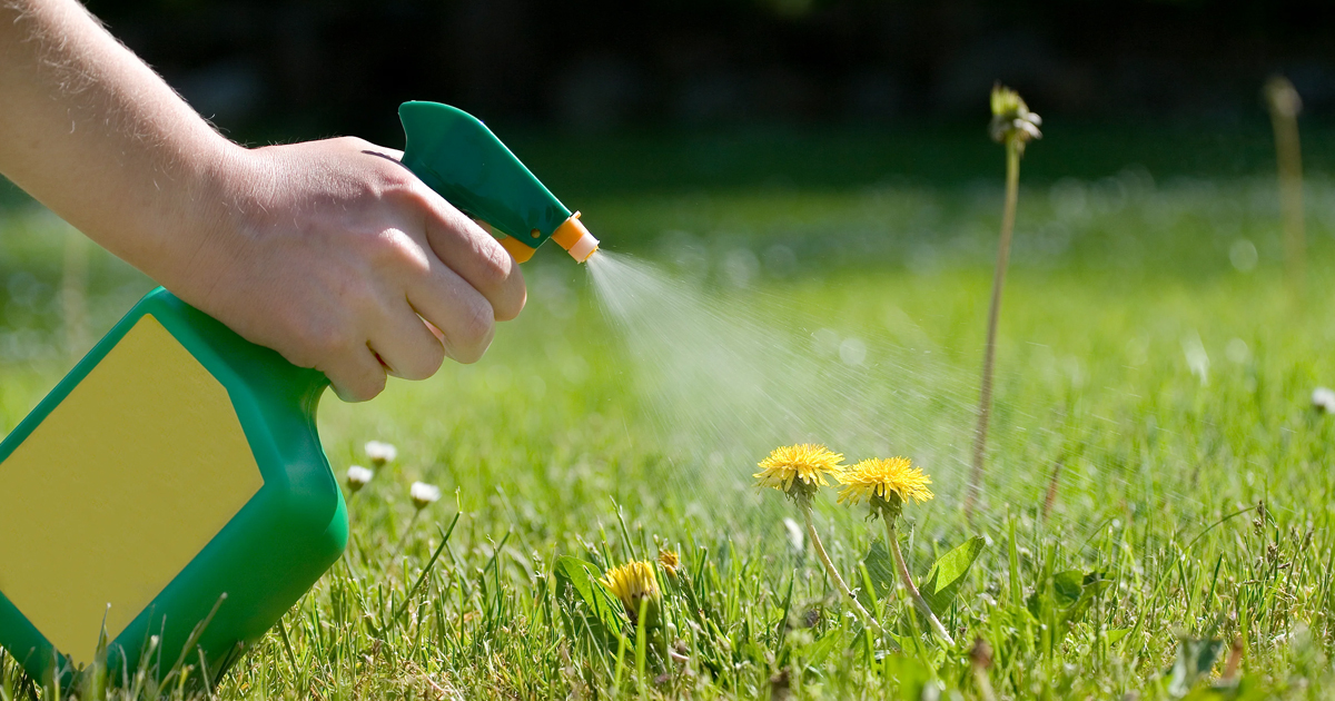 Using Herbicide In Gardens – When And How To Use Herbicides