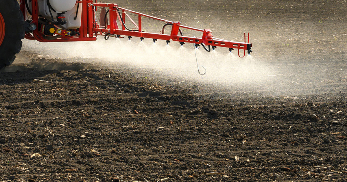 What Are Pre-Emergent Herbicides: Tips On Using Pre-Emergents