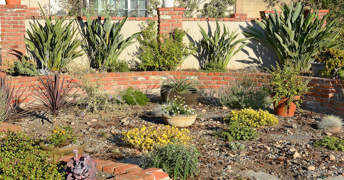 What Is Naturescaping – Tips For Planting A Native Lawn
