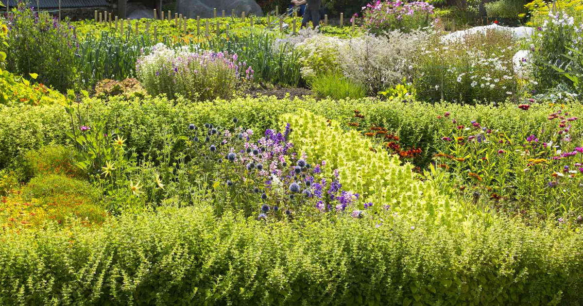 What Is Sustainable Gardening?