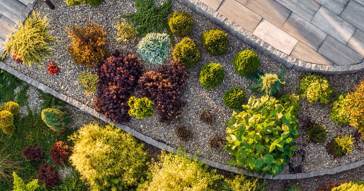 What Is Xeriscaping: A Beginner’s Lesson In Xeriscaped Landscapes