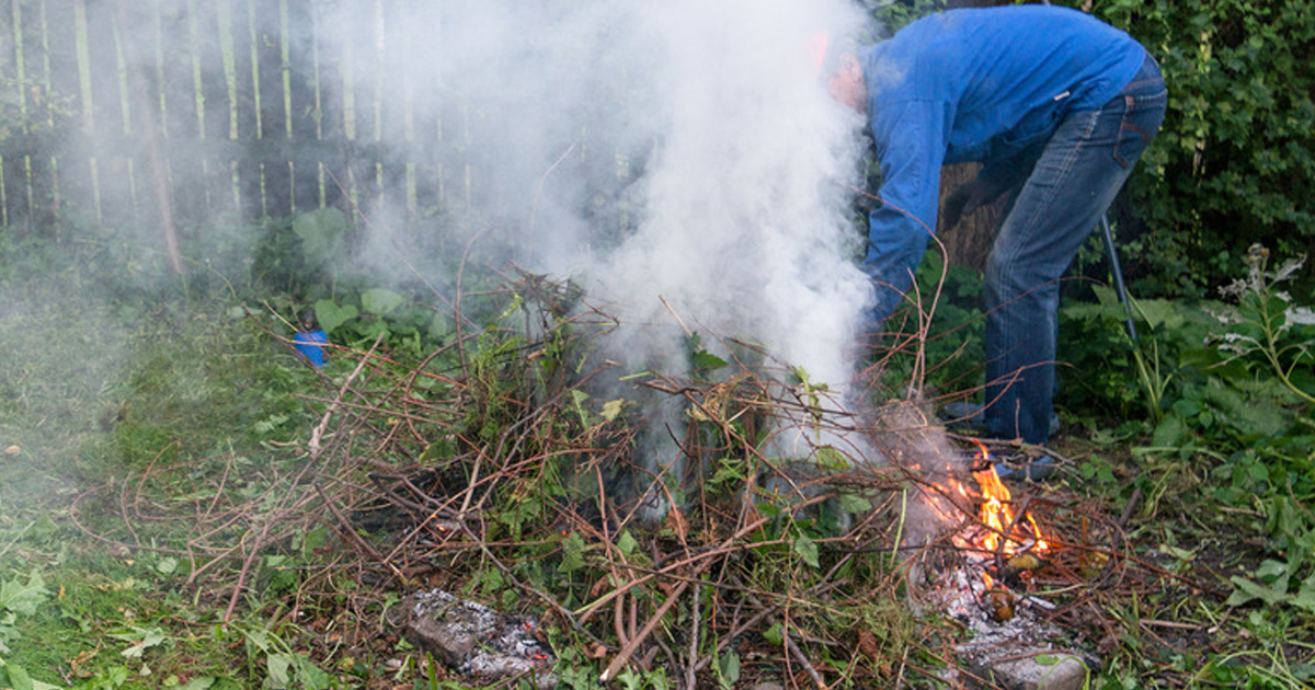 Why You Should Never Burn Poison Ivy