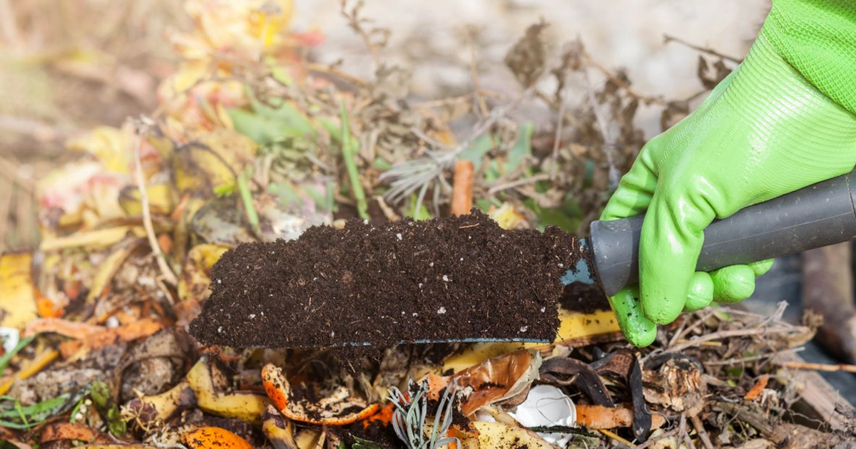 12 Composting Mistakes That Will Ruin Your Stash – And How To Fix Them