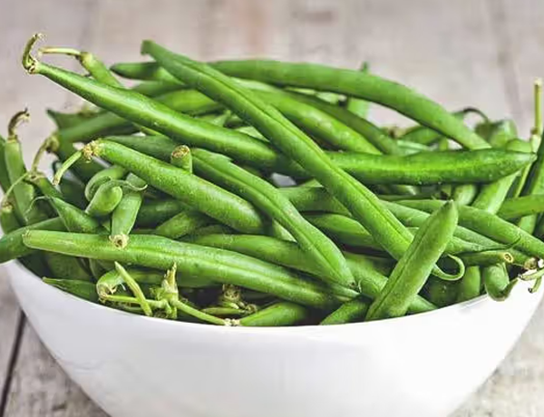 Bean