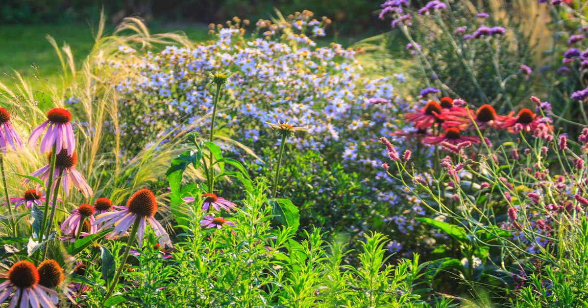 Best Landscape Plants For The Upper Midwest Region