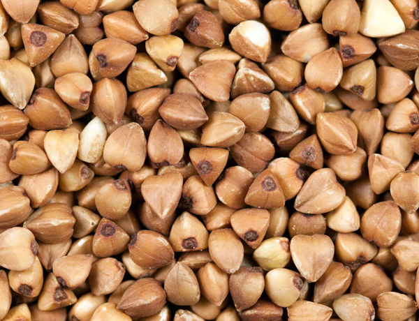 Buckwheat