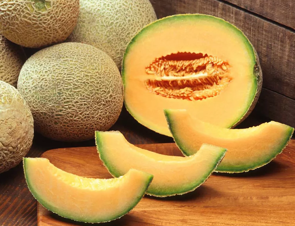 Cantaloupe-Melon