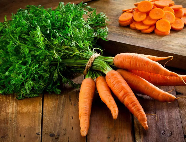 Carrot