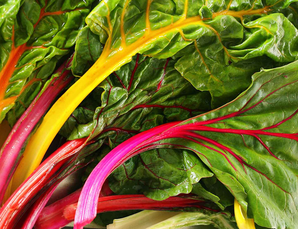Chard