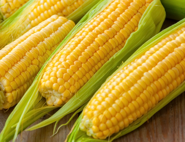 Corn