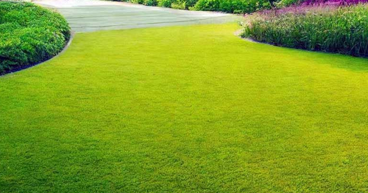 Growing A Lawn In Sandy Soil – Sandy Soil Lawn Care