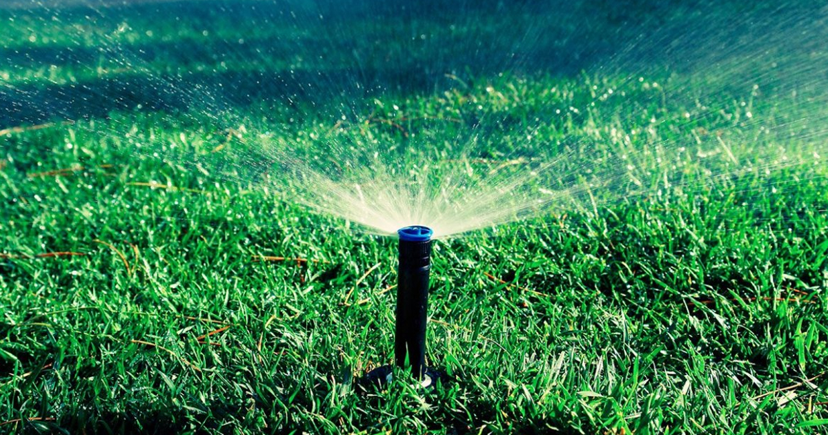 Heat-Stressed Lawn Care: 5 Tips To Ensure Your Grass Survives The Summer