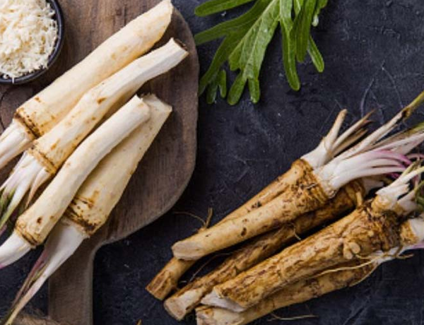Horseradish-Roots