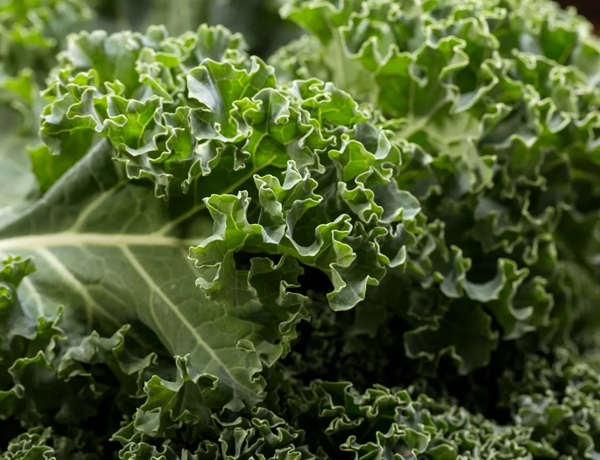 Kale