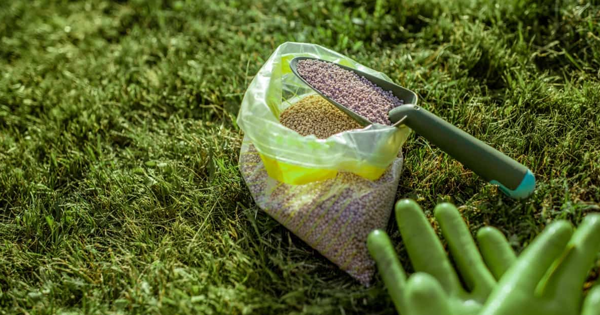 Lawn Fertilizer Tips: When And How To Apply Lawn Fertilizer