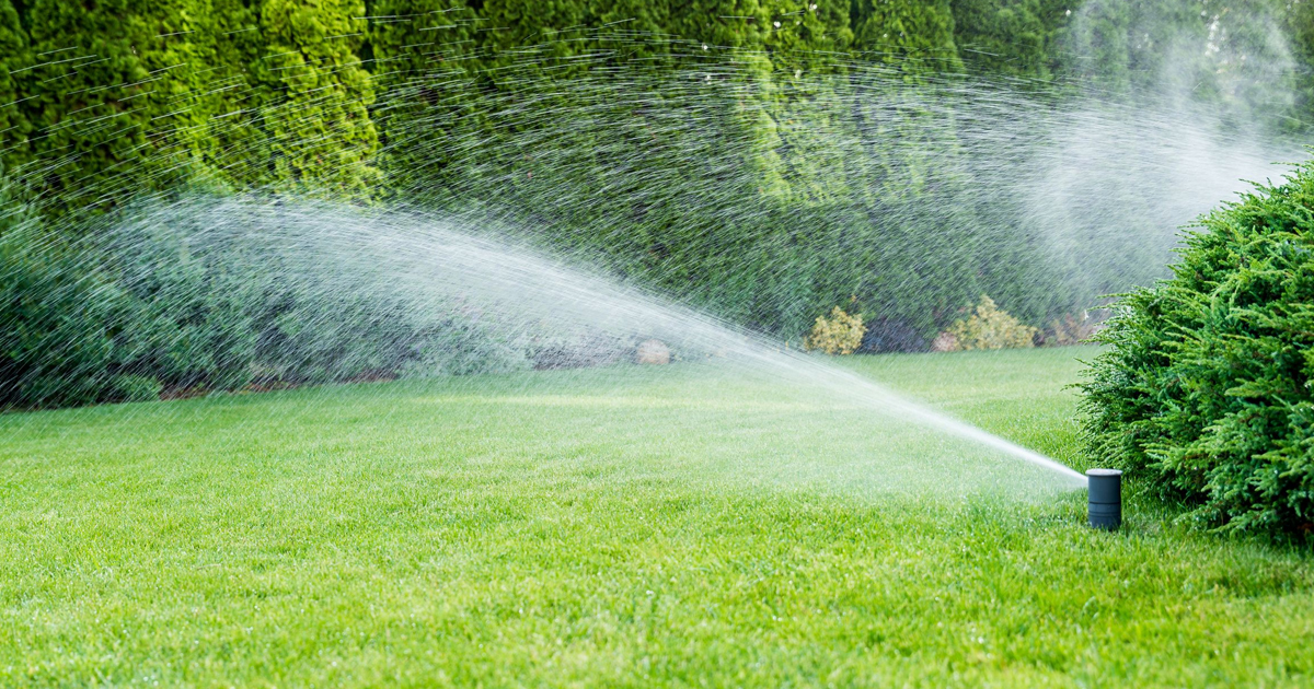 Lawn Watering Guidelines: Best Time To Water Lawns And How