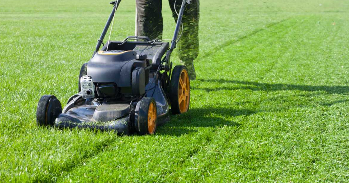 Mowing Lawn Tips: Information For Mowing Your Lawn Correctly