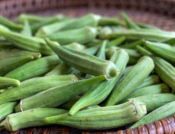 Okra