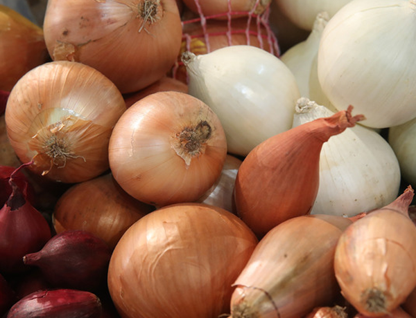 Onion-&-Shallot-Sets