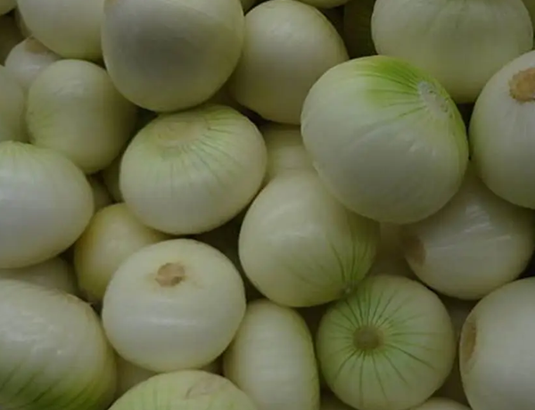 Onion