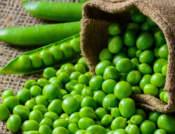 Pea