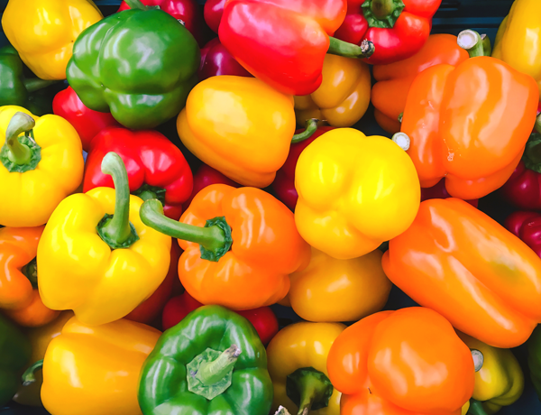 Pepper-(sweet)