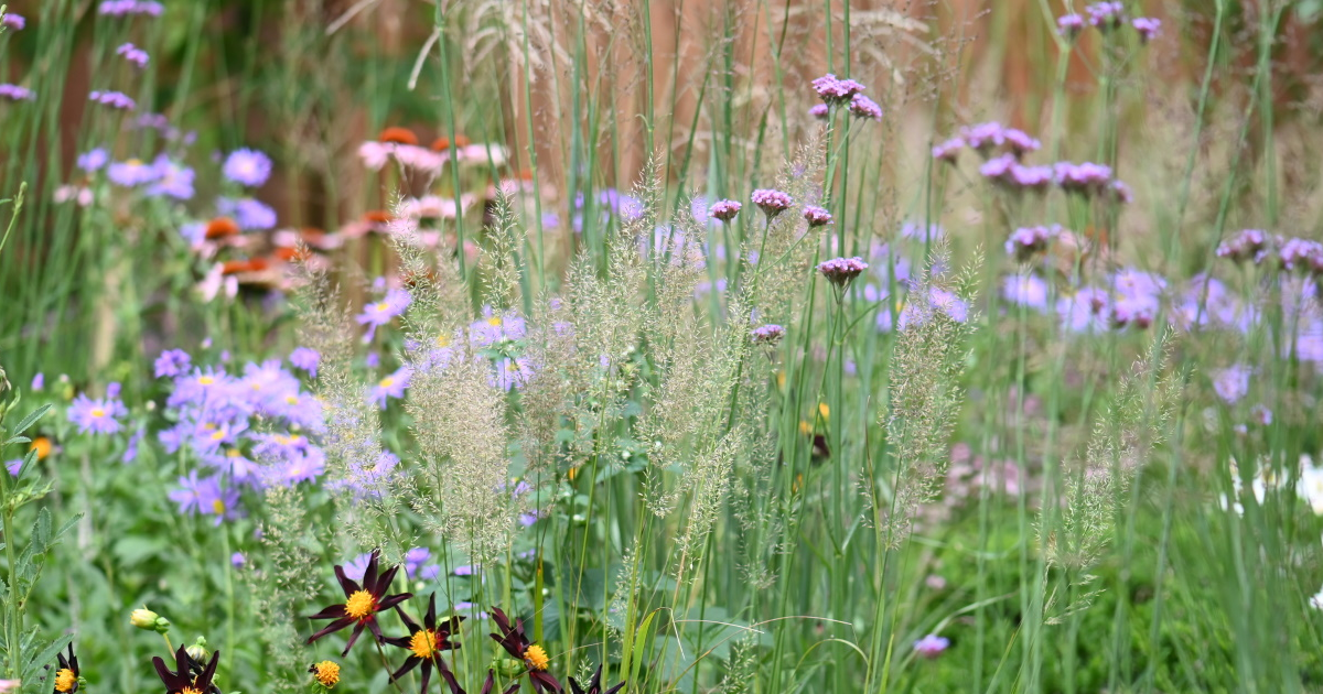 Prairie Garden Design: Tips For Creating A Prairie Style Garden