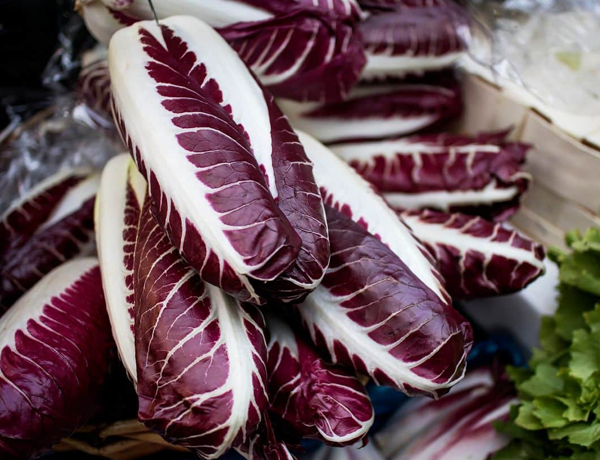 Radicchio
