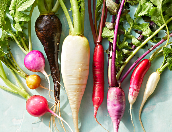 Radish