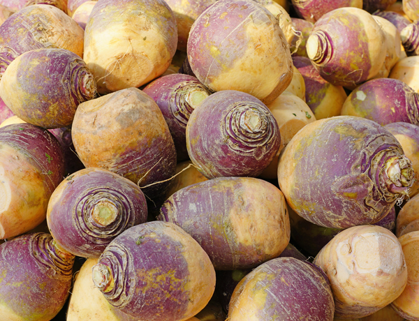 Rutabaga