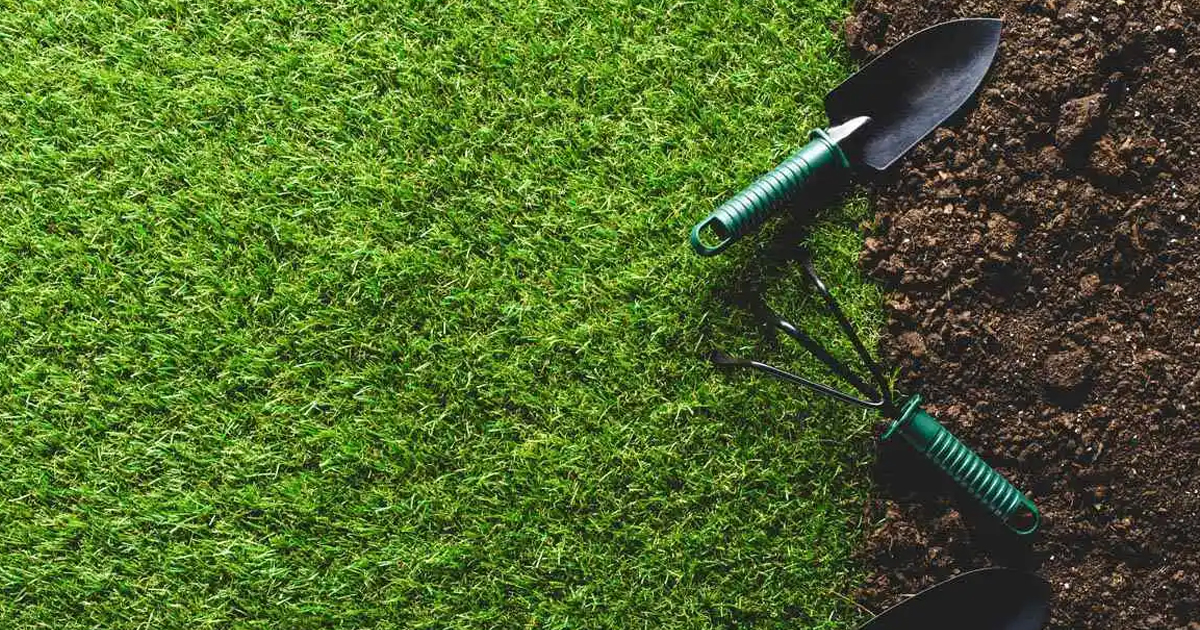 So You Want Your Grass To Grow