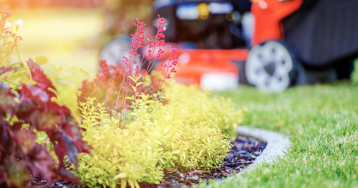 Southeast Lawn Care Guide And Calendar