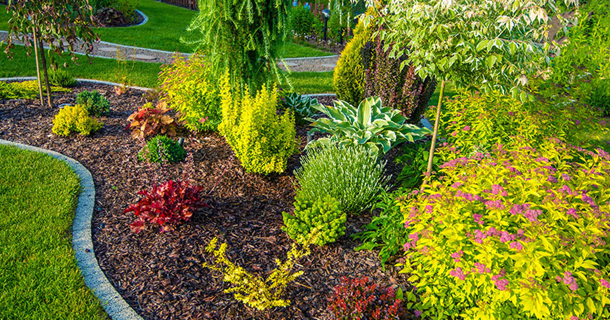 Sustainable Lawn Alternatives For The Southern U.S.